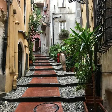 Nouvelle Maison Du Centre